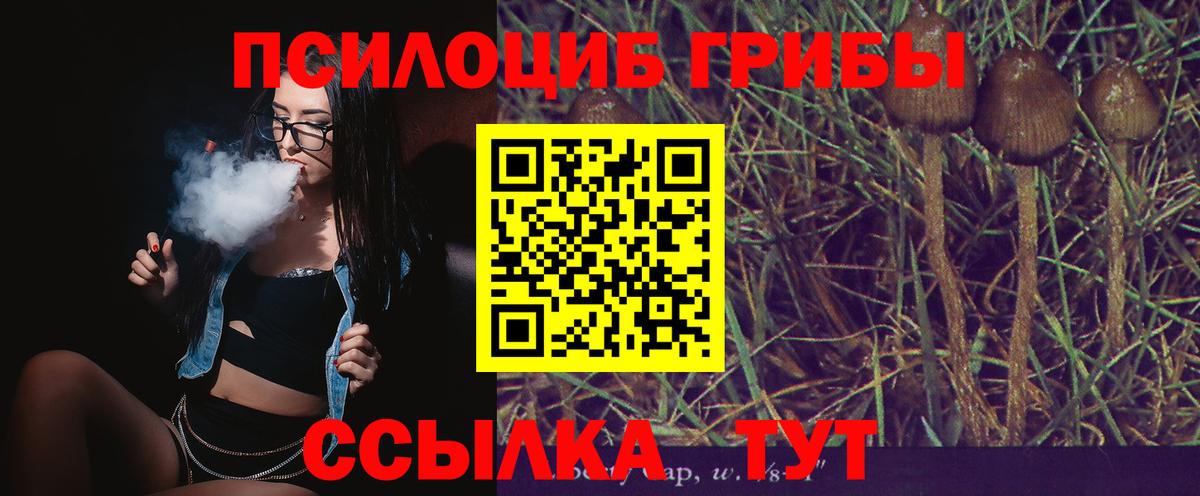 Галлюциногенные грибы Psilocybe Семёнов