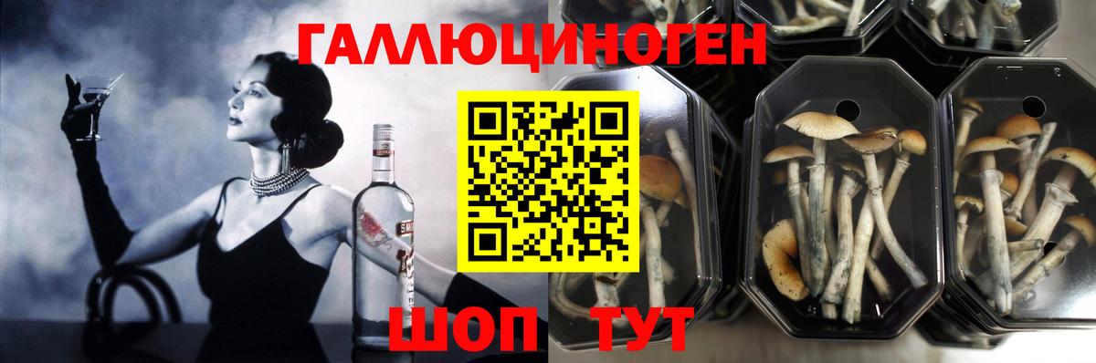 Псилоцибиновые грибы ЛСД  Вход с VPN  Галлюциногенные грибы Magic Shrooms  как найти закладки  Семёнов 